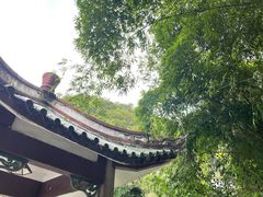 -黔灵山公园