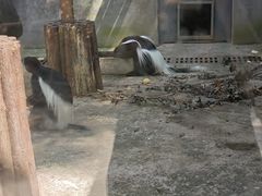 -合肥野生动物园