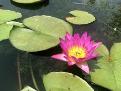 -国家植物园南园