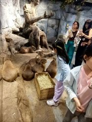 -Zoolung Zoolung动物主题公园(海信广场店)