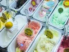 -柠檬车露(卖草地店)