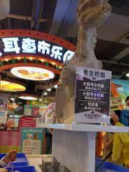 -卡通尼乐园(上海安亭店)