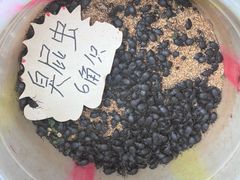 -大观篆新农贸市场