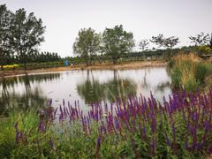 -渔岛海洋度假区