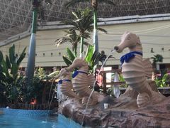 -青岛海泉湾度假区温泉