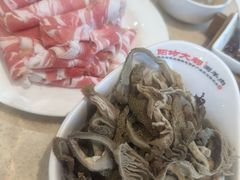 -阳坊大都涮羊肉(阳坊总店)