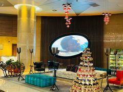 -南京禄口机场雅高铂尔曼大酒店