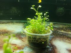 -龟与熊猫宠物公园(南坪店)