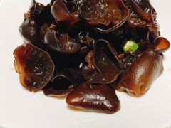 凉拌小木耳-渝信川菜(华盛店)