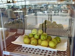 -浦东机场国航头等贵宾室