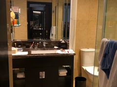 -新加坡乌节希尔顿酒店 (SG Clean)