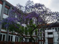 -四川大学(望江校区)