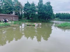 -宁波杭州湾国家湿地公园