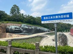 -三水森林公园
