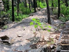-云龙山