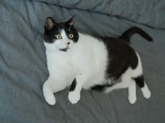 -爱侣宠医·鹦鹉专科·小型哺乳类·异宠专科(灵石路店)