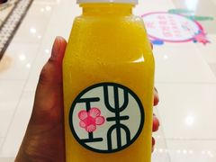 -宝珠奶酪(长宁金虹桥店)