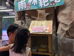 -正佳雨林生态植物园