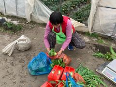 -小鱼草莓采摘园农家乐·小鱼餐厅