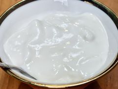 -古树酸奶(八廓南街店)