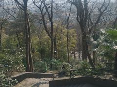 -上海佘山国家森林公园西佘山园