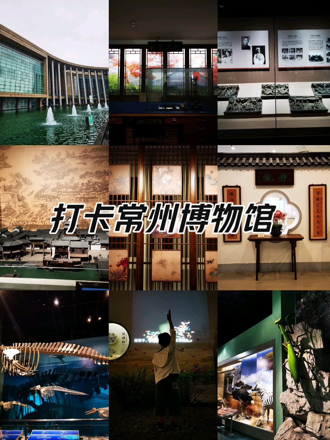 免费溜娃纳凉推荐-常州博物馆