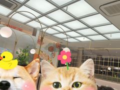 -黄记煌三汁焖锅(华发商都店)