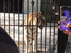 -广东茂名森林公园