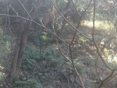 -昆明滇池国家级风景名胜区西山景区