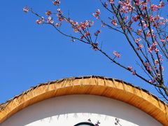 -婺源月亮湾