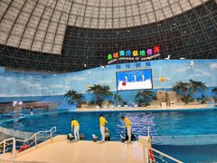 -泉城欧乐堡海洋极地世界