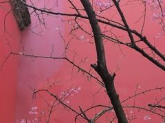 -乌山风景区
