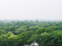 -再回首(西关木塔巷店)