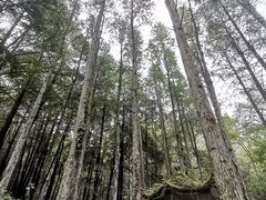 -波尔登森林公园