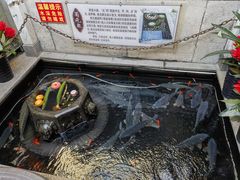 -燕喜堂·中华老字号(大明湖店)