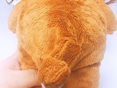 -星巴克(北京新辰里亚运村店)