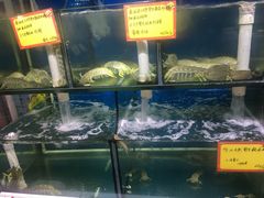 水产区-蚝专家(北滘店)