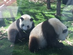 -鄂尔多斯野生动物园