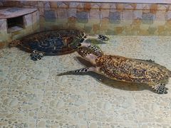-常州海昌海洋探索馆