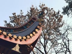 -岳麓山风景名胜区