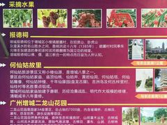 -荔枝红五号农庄