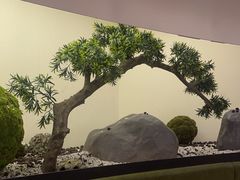 -点心传说·粤菜点心(佐阾虹湾店)