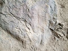 景点-中国第四纪冰川遗迹陈列馆