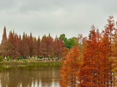 -白鹭湾湿地公园