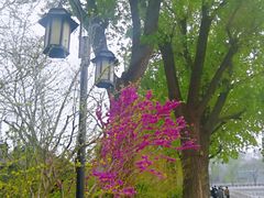 景点-什刹海-后海