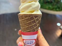 -富豪雪糕车流动点(尖沙咀店)