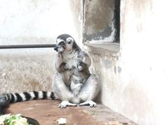 -石家庄市动物园