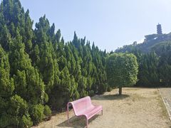 -南沙蒲洲花园