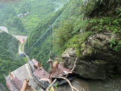 -鹿院坪生态旅游景区