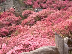 -木兰云雾山